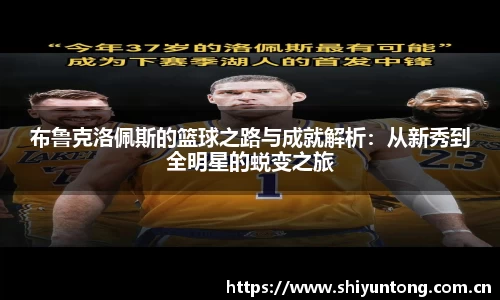 熊猫体育官网网址