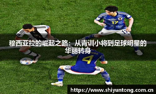 熊猫体育
