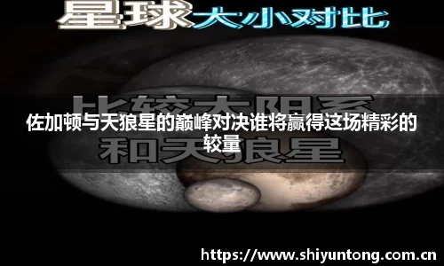 熊猫体育直播